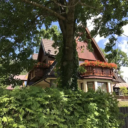 Domek alpejski W Górach - Przy Potoku Zakopane